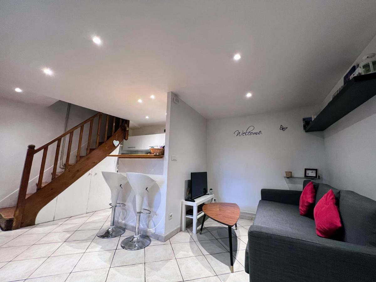"La Petite Maison" Sainte-Foy-lès-Lyon Zewnętrze zdjęcie